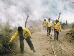 A pesar de que La Primavera ha sufrido cientos de incendios, nadie ha ido a la cárcel por este delito.EFE  /