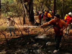 La cifra exacta de terreno forestal afectado aún no se ha corroborado.  /