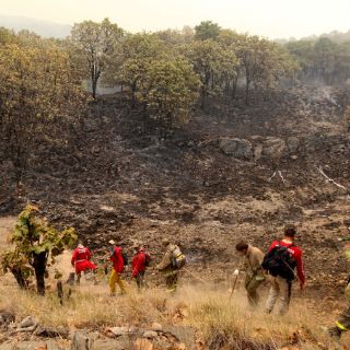 Organizaciones ciudadanas llaman a denunciar delitos ambientales