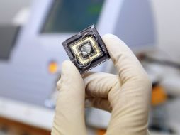 Los científicos han llegado a conclusiones sorprendentes gracias al estudio de genes. ARCHIVO  /