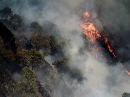 La Dirección General de Ecología informa que en 2011 se presentaron 247 incendios. ARCHIVO  /