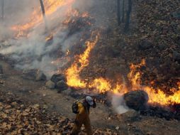 Aunque se indica que el incendio fue provocado, no se descarta que las altas temperaturas influyeran. ARCHIVO  /
