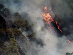 La comisión exhortó a la ciudadanía para que no intente sofocar ni combatir ningún incendio forestal.  /