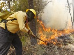 Organismo ciudadanos consideran que las acciones emprendidas por las autoridades en La Primavera fueron insuficientes. ARCHIVO  /