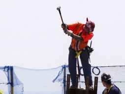 Al pedir vacaciones, 39% de los trabajadores mexicanos ve en riesgo su puesto de trabajo. ARCHIVO  /