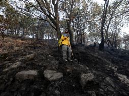 Se desconoce el origen del incendio, pero la Conafor presume que fue tras una quema de basura.  /
