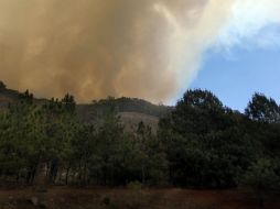 En las últimas horas se han registrados tres incendios en proximidades de La Primavera. ARCHIVO  /