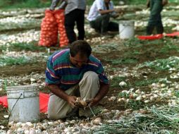 Señalaron que un elevado número de puertorriqueños en edad de trabajar no desempeña actividad laboral alguna. ARCHIVO  /