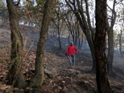 Lamentan la falta de atención y de presupuesto por parte de las autoridades hacia el “pulmón” de la ciudad. ARCHIVO  /