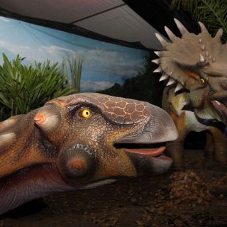 Algunos dinosaurios se extinguieron antes del asteroide