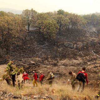 Se requiere mucho dinero para expropiación: González Romero