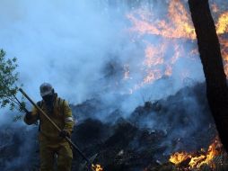 Sólo en el municipio de Zapopan se registraron 44 incendios en bosques. ARCHIVO  /