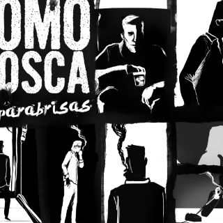 Como Mosca en parabrisas