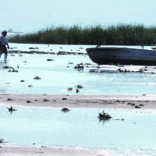 Degradados, 73% de suelos de la Cuenca Lerma-Chapala