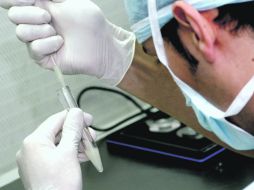 La manipulación del óvulo y el espermatozoide podría ser la causa de los defectos congénitos.  /