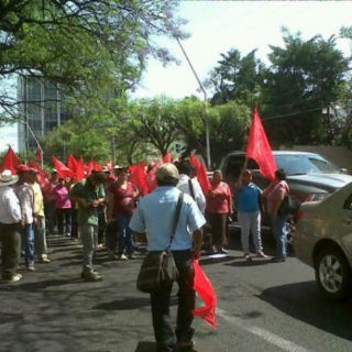 Antorcha Campesina afecta Lerdo de Tejada; marchan a Sedesol