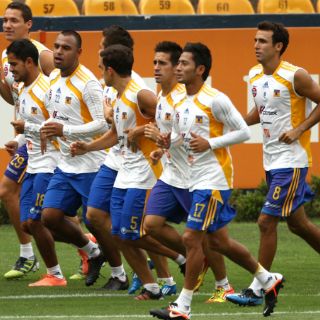 Tigres quiere rugirle a Santos