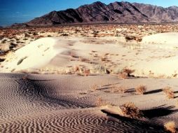 Era un misterio la existencia de dunas en Marte, cuando no tiene las mismas propiedades que la Tierra. ARCHIVO  /