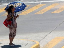Puntualizó que el poblado de La Vega, en el municipio de Ameca, registró 37.5 grados. ARCHIVO  /