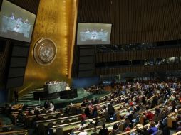 Foro Permanente para Cuestiones Indígenas de la ONU. EFE  /