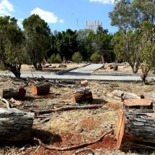 Red Árbol propondrá limitar espacios para espectaculares