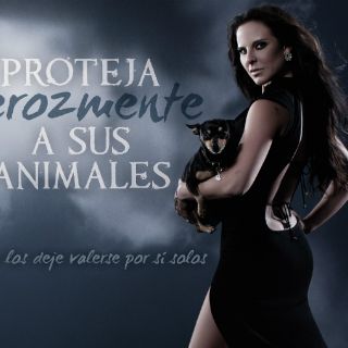 Kate del Castillo se une a campaña pro-animales de PETA
