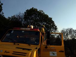 El estado de Jalisco cuenta con alrededor de 3 mil brigadistas.  /