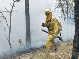 Incendio registrado en La Primavera el mes pasado, en donde más de ocho mil hectáreas fueron consumidas por el fuego.  /