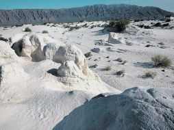 Dunas. Arena fina y blanca, de sulfato de calcio en Cuatro Ciénegas. EL UNIVERSAL  /