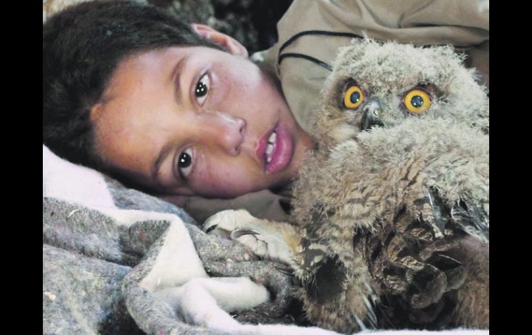 El filme 'Mokhtar' gira en torno a una lechuza que encuentra una joven marroquí. ESPECIAL  /