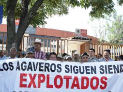 Un grupo de al menos 200 agaveros se manifiestan a las afueras de las instalaciones de la Sagarpa Delegación Jalisco.  /