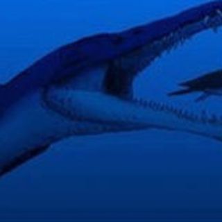 Los dinosaurios del Jurásico sufrían artritis