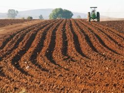 Industrias como la cementera, química, agrícola y farmacéutica podrán beneficiarse de la investigación. ARCHIVO  /