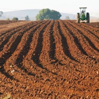 Premian a Cinvestav por estudio de materiales granulares