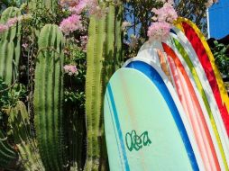 La Cumbre del G20 tendrá lugar en Los Cabos, Baja California Sur, los días 18 y 19 de junio. AFP  /