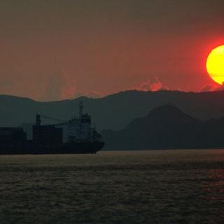 México reconoce fallo de la OMC en caso de atún mexicano