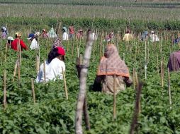 Los abusos no deberían sumarse a las difíciles condiciones laborales que ya toleran los trabajadores. ARCHIVO  /