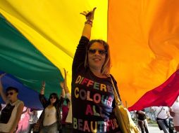 Hoy jueves 17 de mayo de 2012 es el Día Internacional Contra la Homofobia. EFE  /