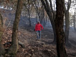 La reserva natural padece también los problemas del desorden financiero. ARCHIVO  /