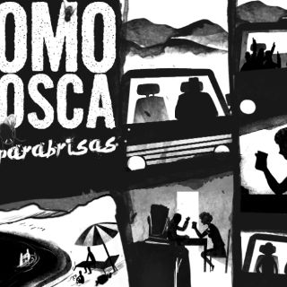 Como Mosca en parabrisas