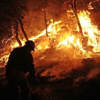 A la baja, brigadistas voluntarios