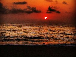 Vista del eclipse anular desde Puerto Vallarta. Imagen de @carlospatinov.  /