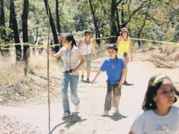 Un grupo de niños pasea por la zona conocida como El Picnic, en el bosque.  /