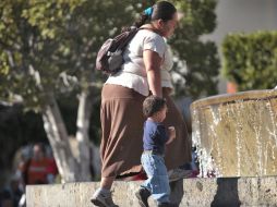 La proteína es capaz de poner en marcha la quema de grasas del cuerpo. ARCHIVO  /