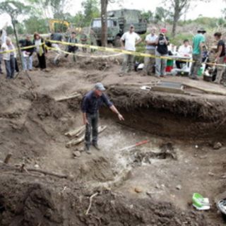 Descubren nueva especie de dinosaurio que vivió en Argentina