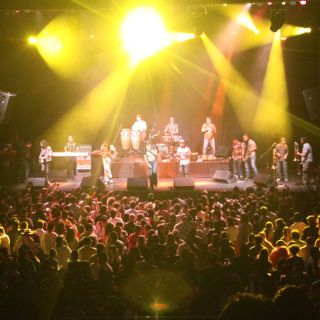 Opinan exponentes que la salsa se mantiene viva