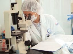 En la última década, la OMS ha declarado la guerra contra las llamadas enfermedades ligadas al estilo de vida. ARCHIVO  /