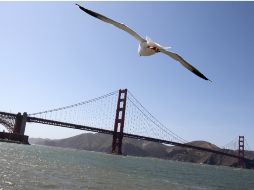 Se celebrará al emblemático Golden Gate, que en 1937 llegó a ser el puente más largo del mundo. AFP  /