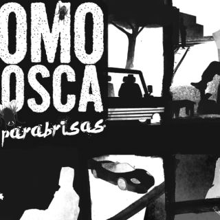 Como Mosca en parabrisas