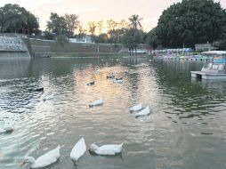 Área del lago, ícono del parque inaugurado el 30 de diciembre de 1961.  /